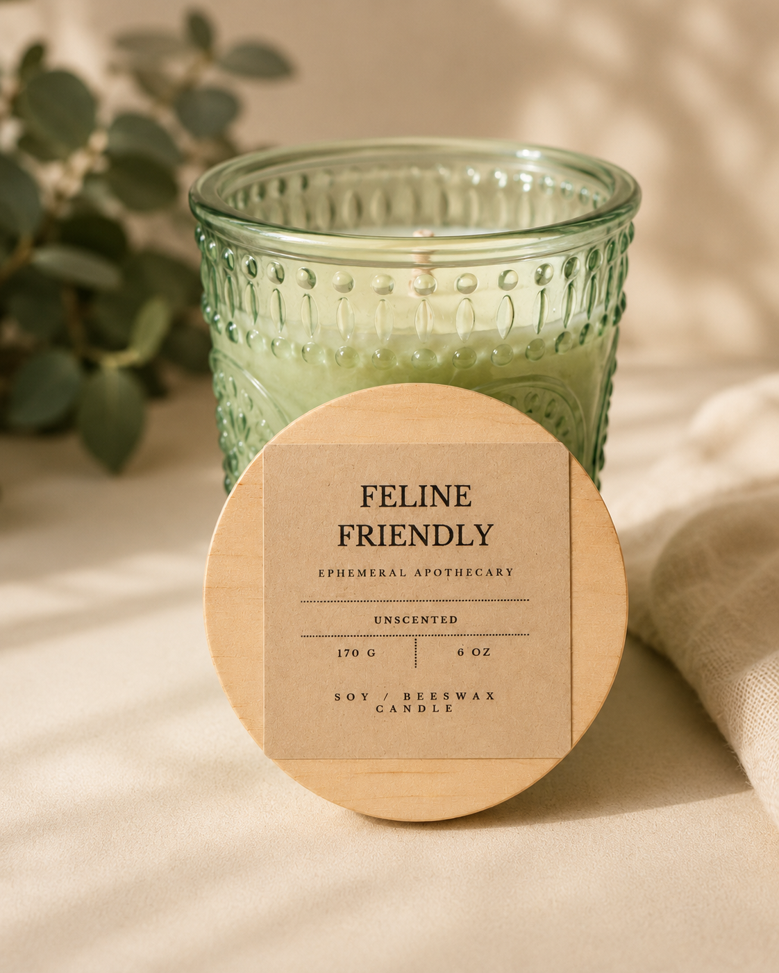Feline Friendly Unscented Candle | 6 oz